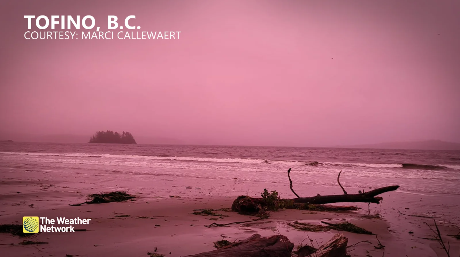 (UGC Marci Callewaert) Pink sky over Tofino BC