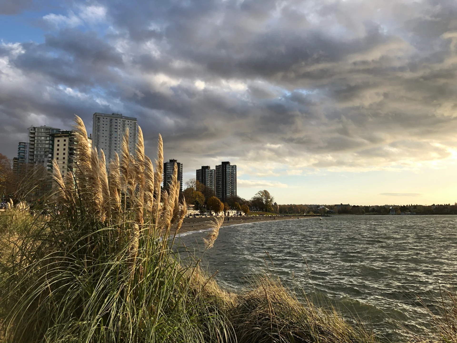 BC seawall in vancouver. UGC submitted by: samuel, English Bay, Vancouver, B.C.