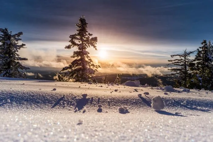 Trois signes qui confirment que l'hiver achève