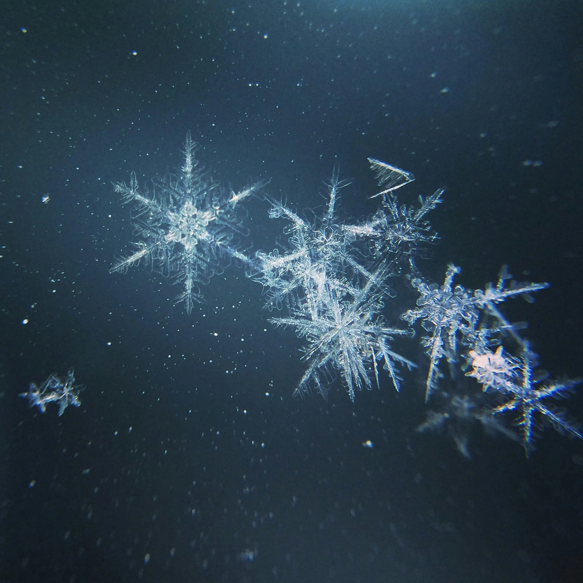 marc-newberry-omuw oYkXs0-unsplash