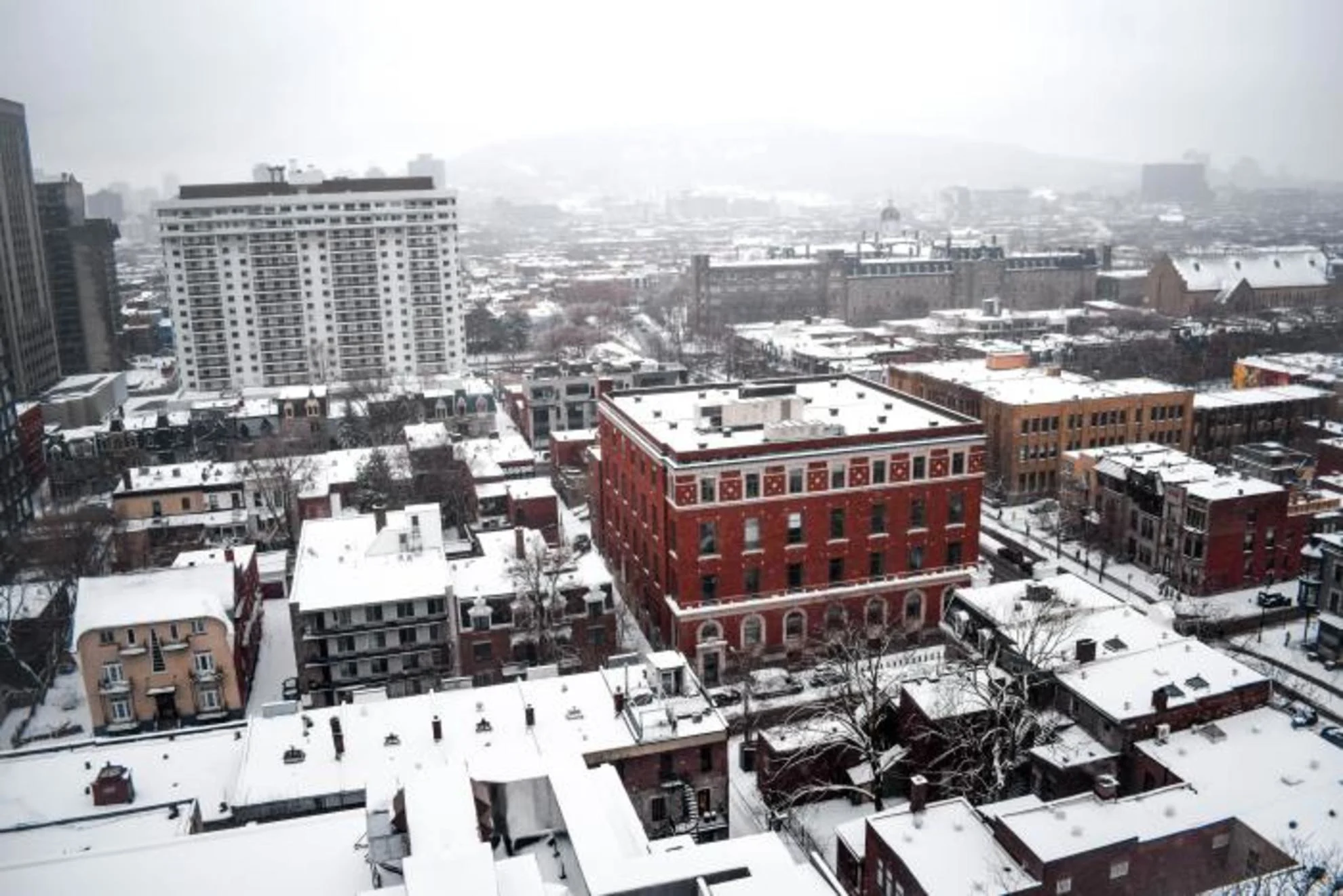 Près de 10 °C de différence dans une même ville : pourquoi ?