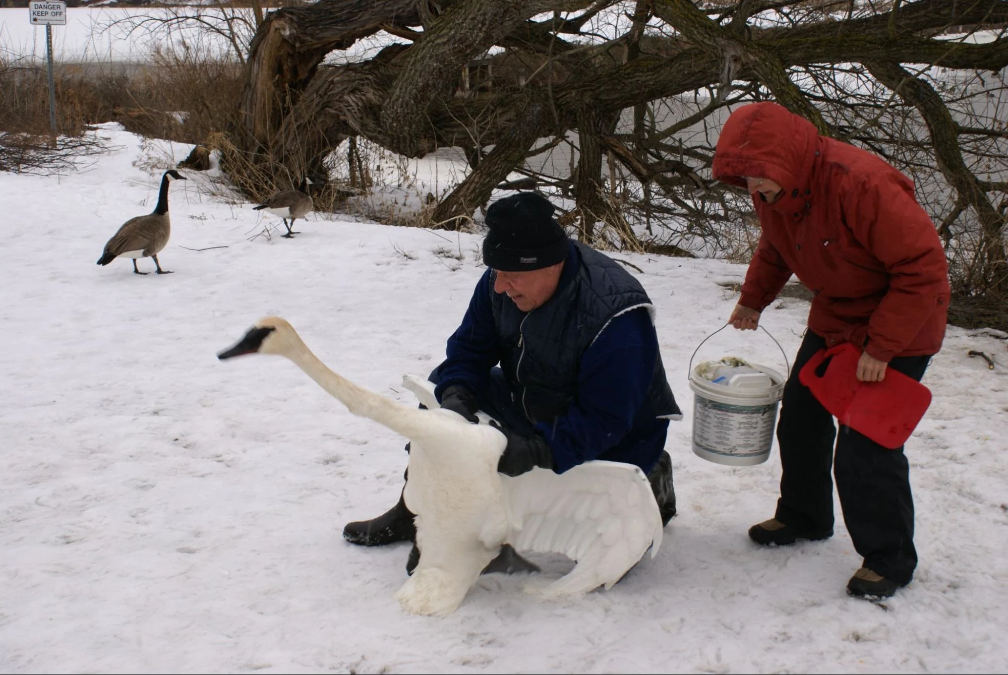 Beverly Kingdon and Husband Swans