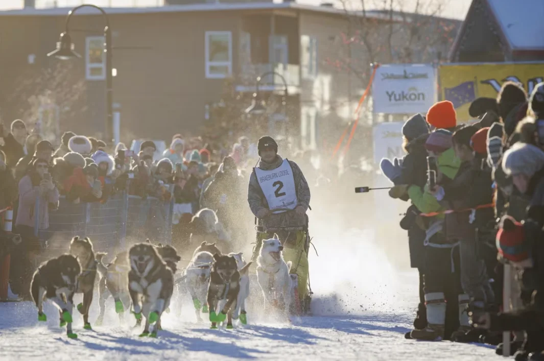 CBC: Musher Connor McMahon leaves Whitehorse at the start of last year's Yukon Quest dog sled race. (Evan Mitsui/CBC)