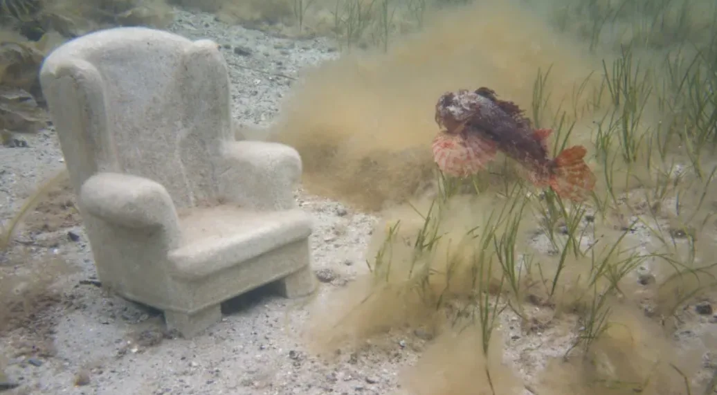 CBC - underwater soga