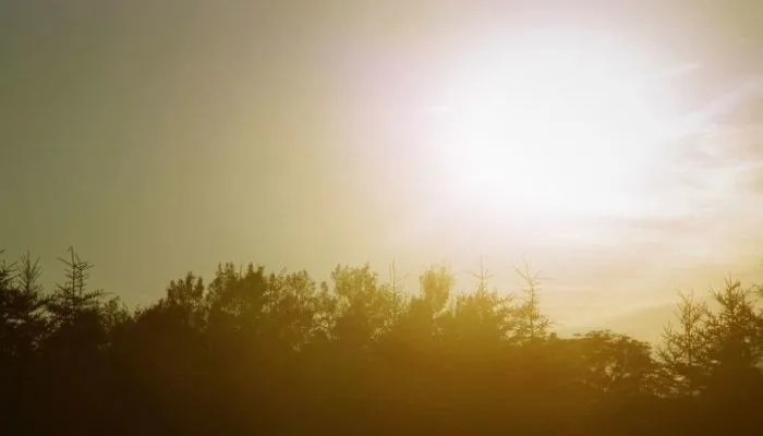 À quel moment une canicule devient-elle réellement dangereuse ?