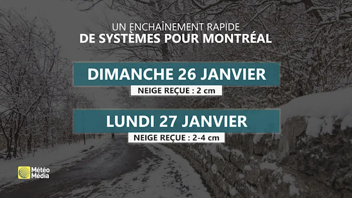 SYSTEME1