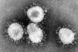 Coronavirus : rappel des usages de prévention