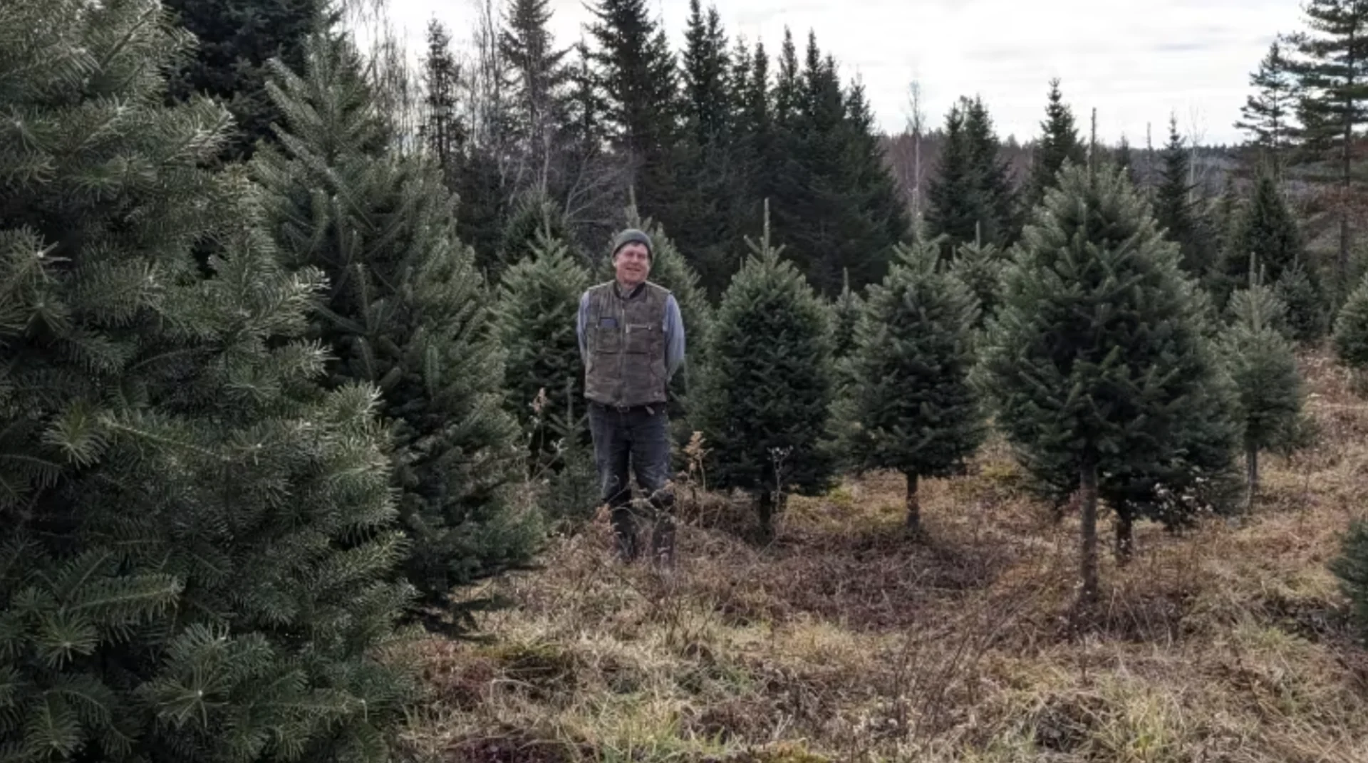 CBC: James DeLong is president of the SMART Christmas Tree Research Co-operative and a Christmas tree farmer in New Germany, N.S. (Submitted by James DeLong )