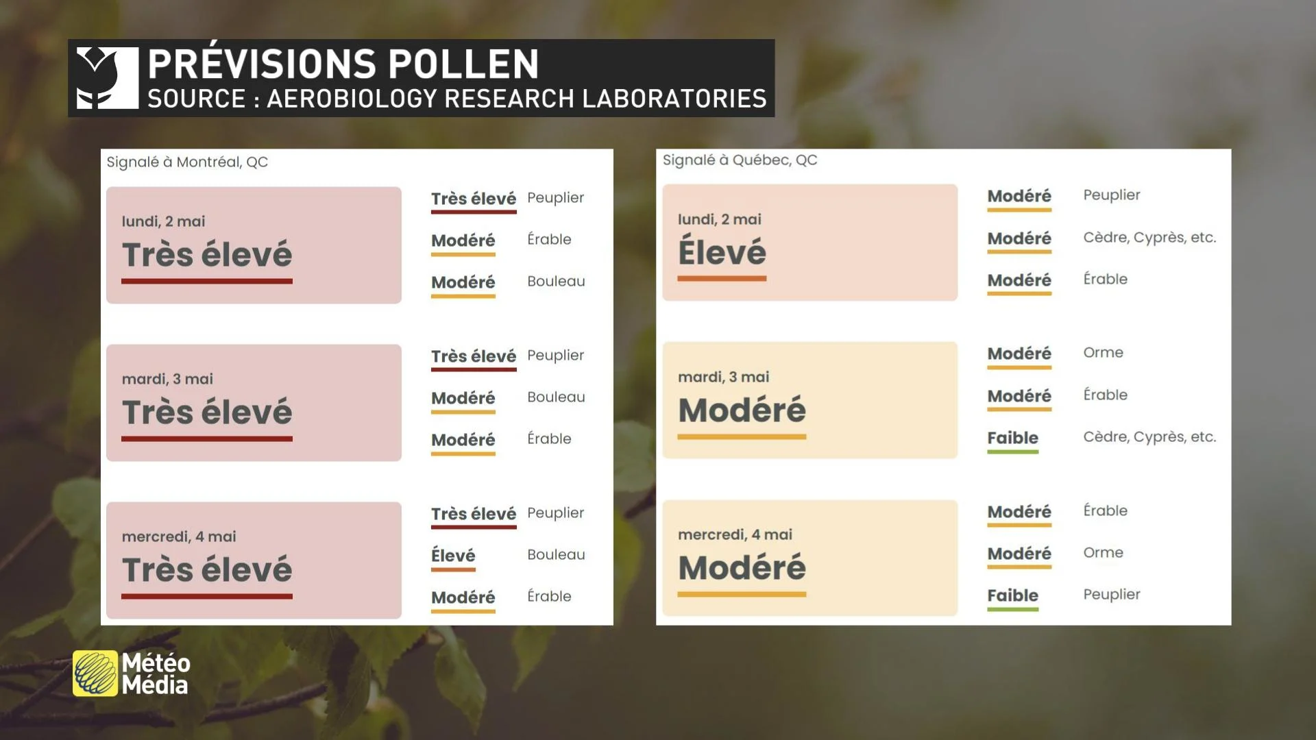 ALLERGIES PRÉVISIONS POLLEN