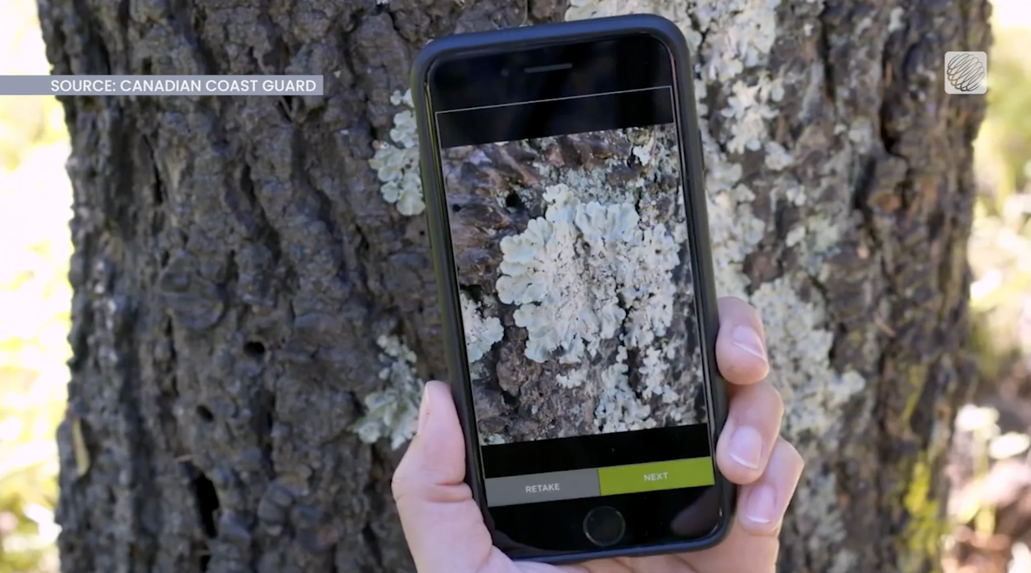 Canadian Coast Guard: Reporting invasive species found in Canada on phone 