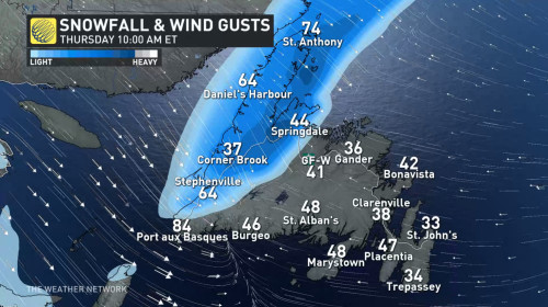 East Coast Dangerous blizzard conditions 30 cm of snow follow