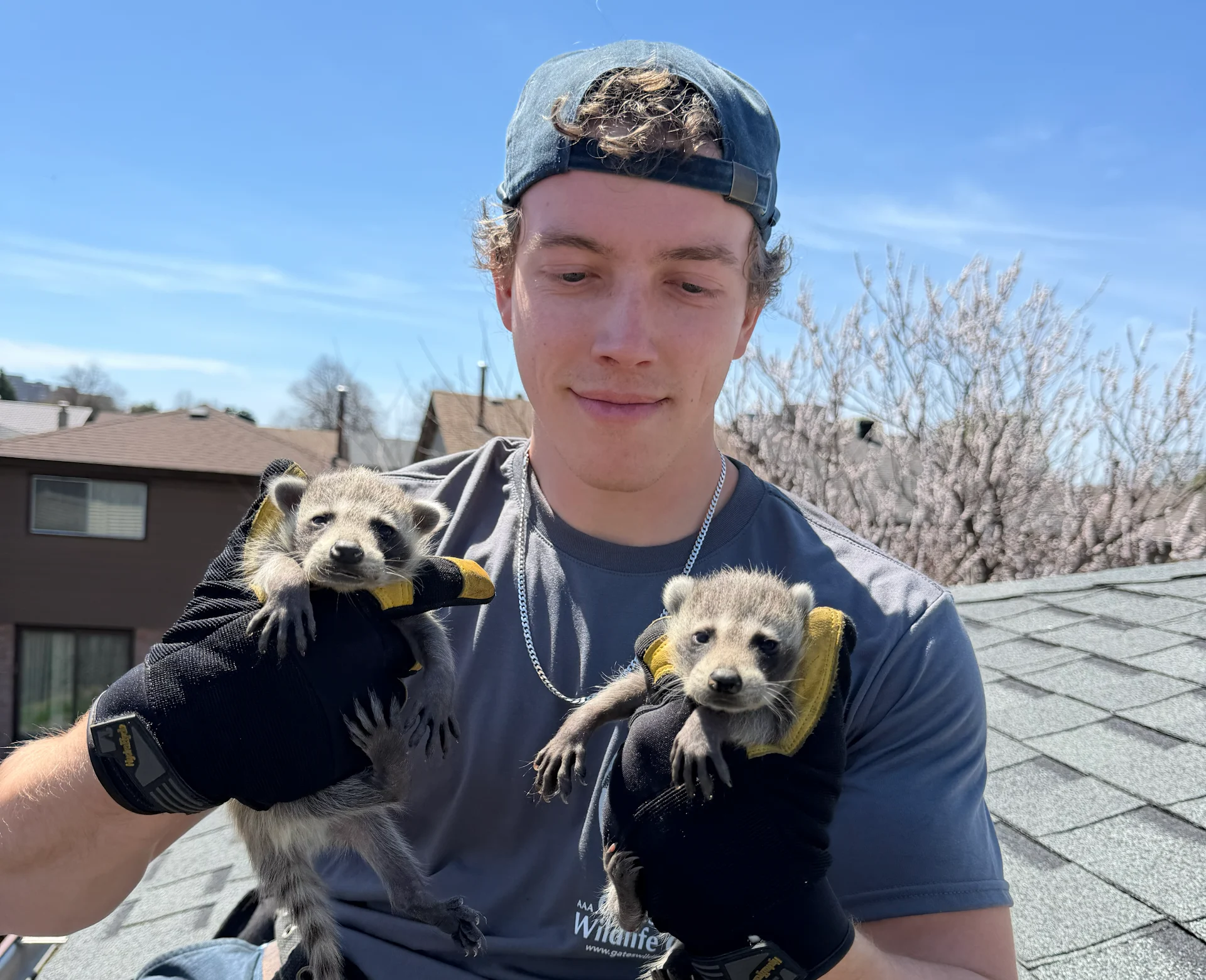 Gates Wildlife Control Teenager