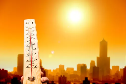 Les décès liés à la chaleur extrême ont augmenté de 74 %