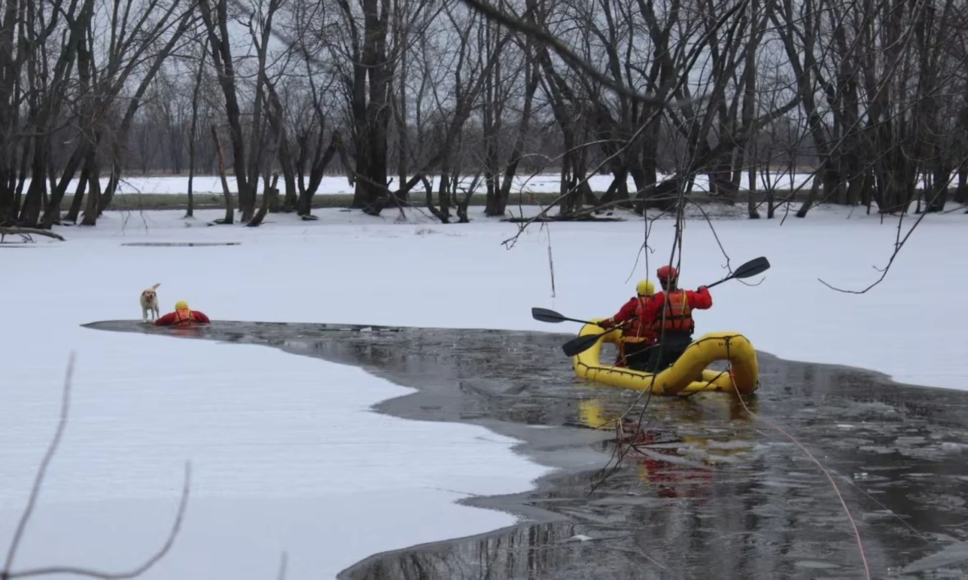 Dramatic dog rescue a reminder of ice safety amid rapidly changing weather