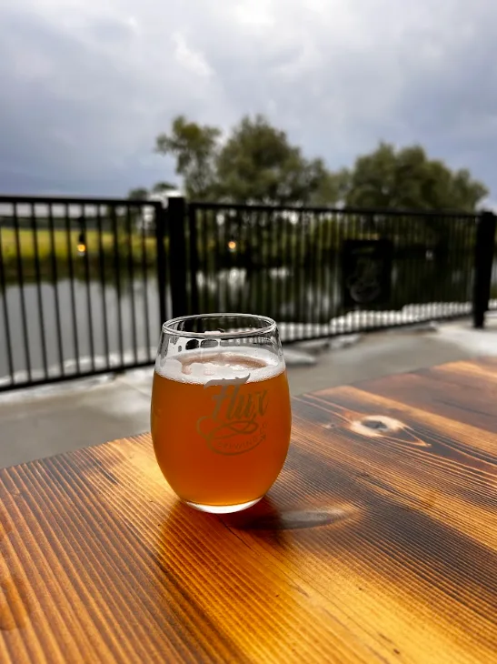 A small glass of beer from Flux Brewery in Scotland, Ont. (Lia Nardone/TWN)