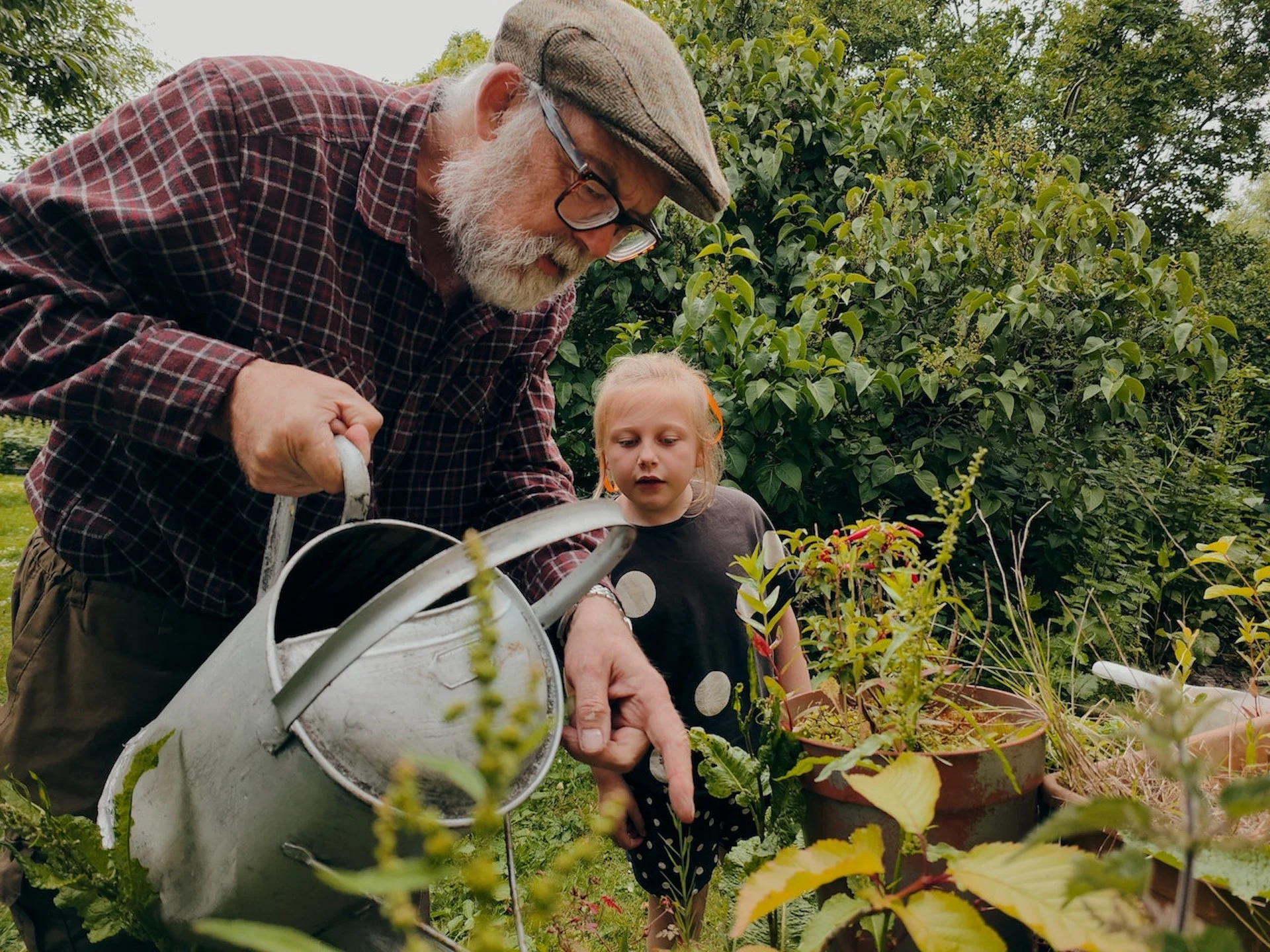 Intergenerational gardening reaps benefits for people and wildlife