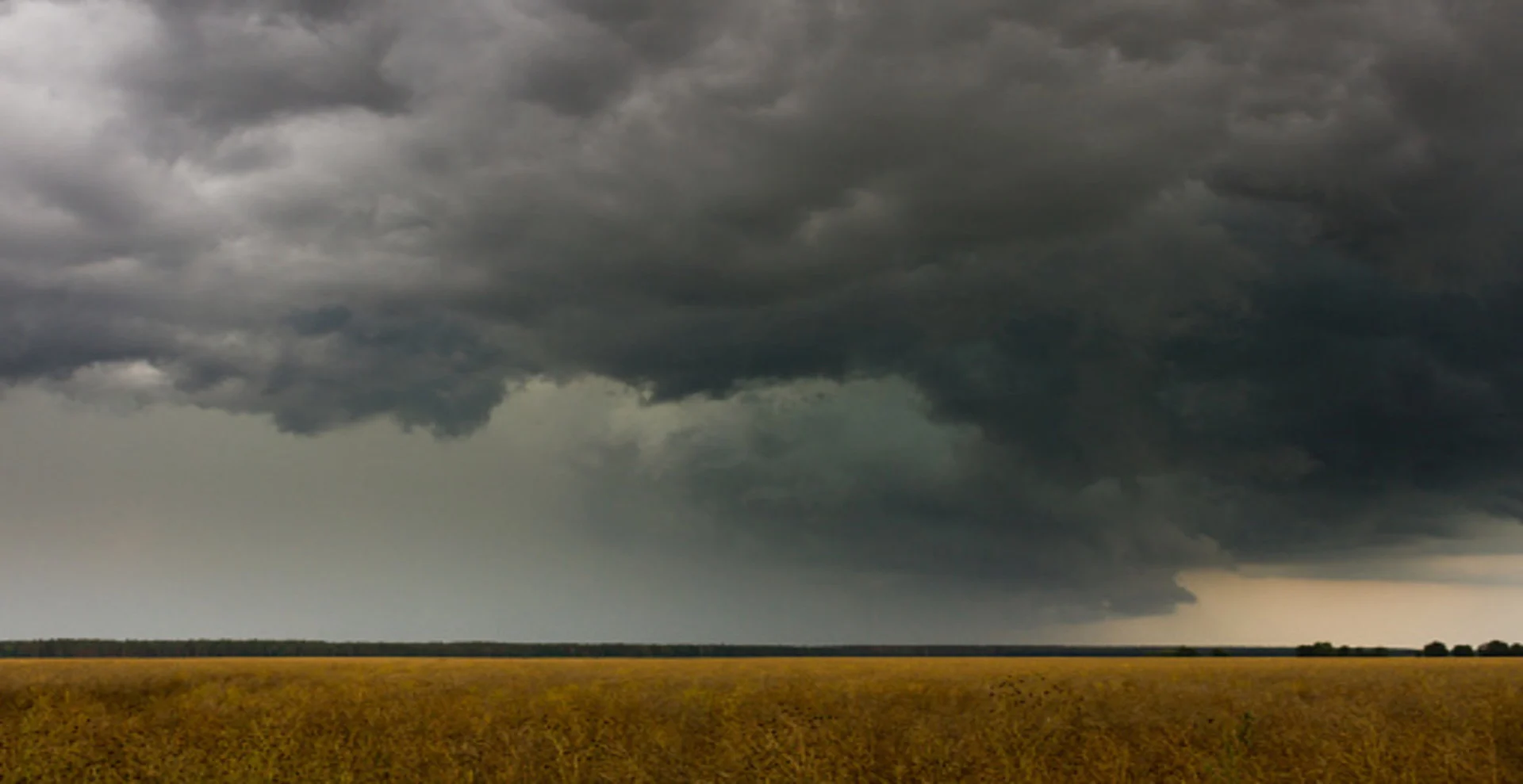 Clouds are spreading antibiotic-resistant bacteria around the world, study finds