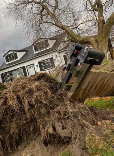 PHOTOS: Intense winds shake ground, send debris flying in Ontario