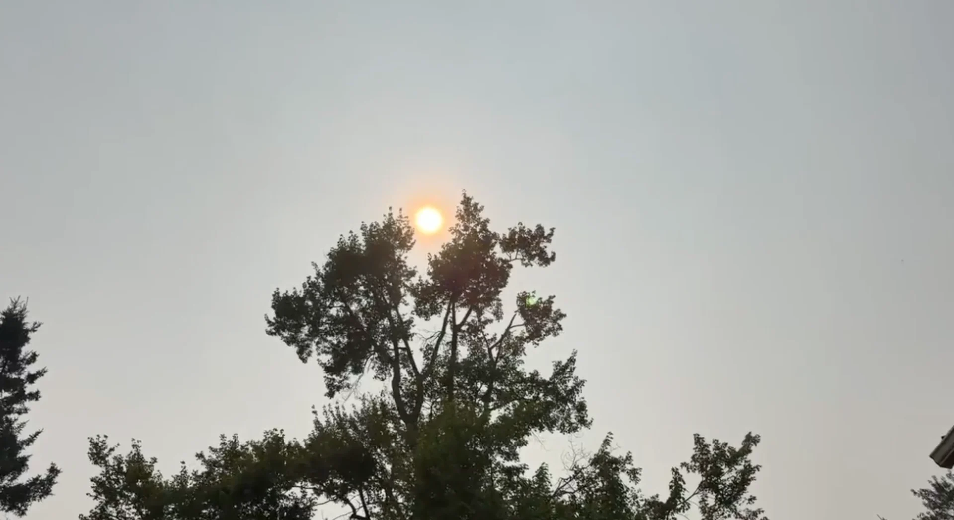 Rachel Schoutsen: Wildfire smoke, smoky skies in Woodview, Ontario on Stoney Lake. July 14, 2026.