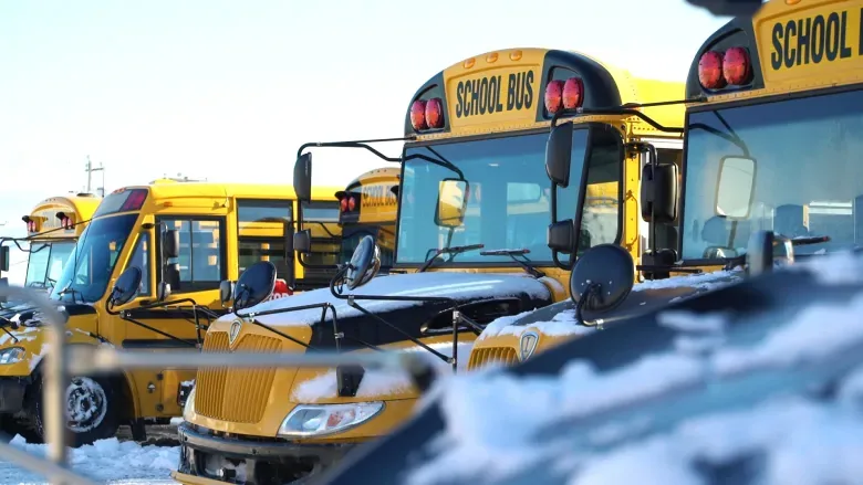 Storm-shuttered schools to reopen Monday, public transit less certain