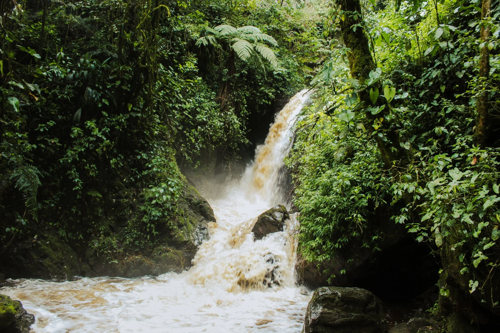 Le mystère de la rivière bouillante