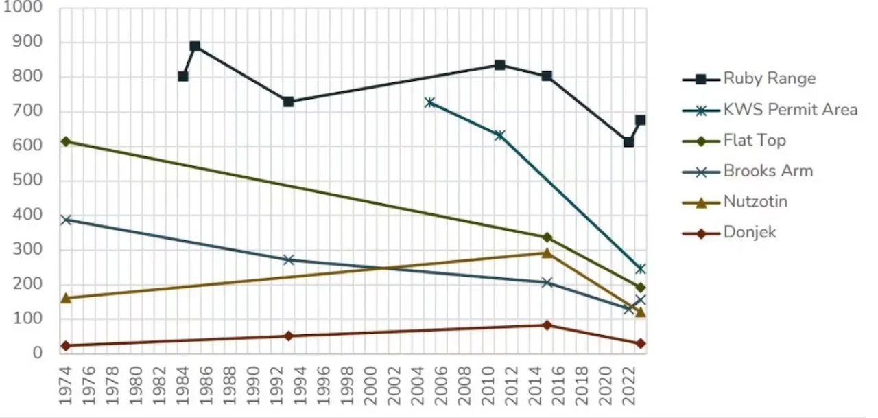 Government of Yukon Dall sheep survey via CBC