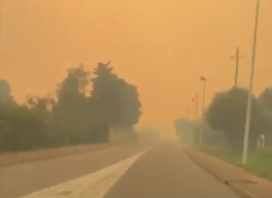 Feux en Corse : 1 000 hectares de végétation ont été décimés