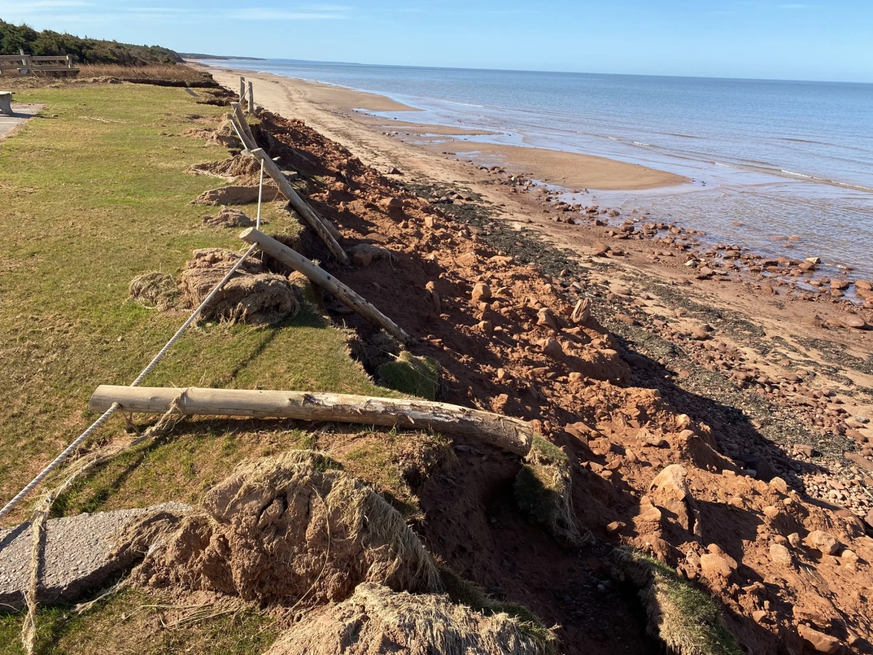 Parks Canada estimates parts of Dalvay Beach, PEI experienced 10 metres of shoreline erosion during Fiona. (Nathan Coleman)
