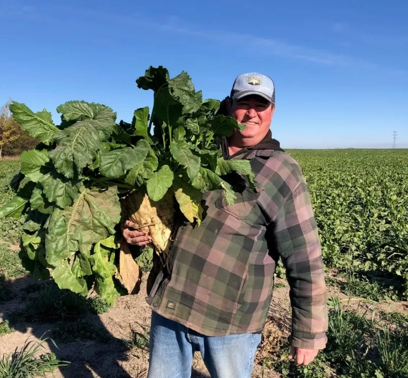 CBC - Sugar beet farmer - Submitted by Gary Tokariuk