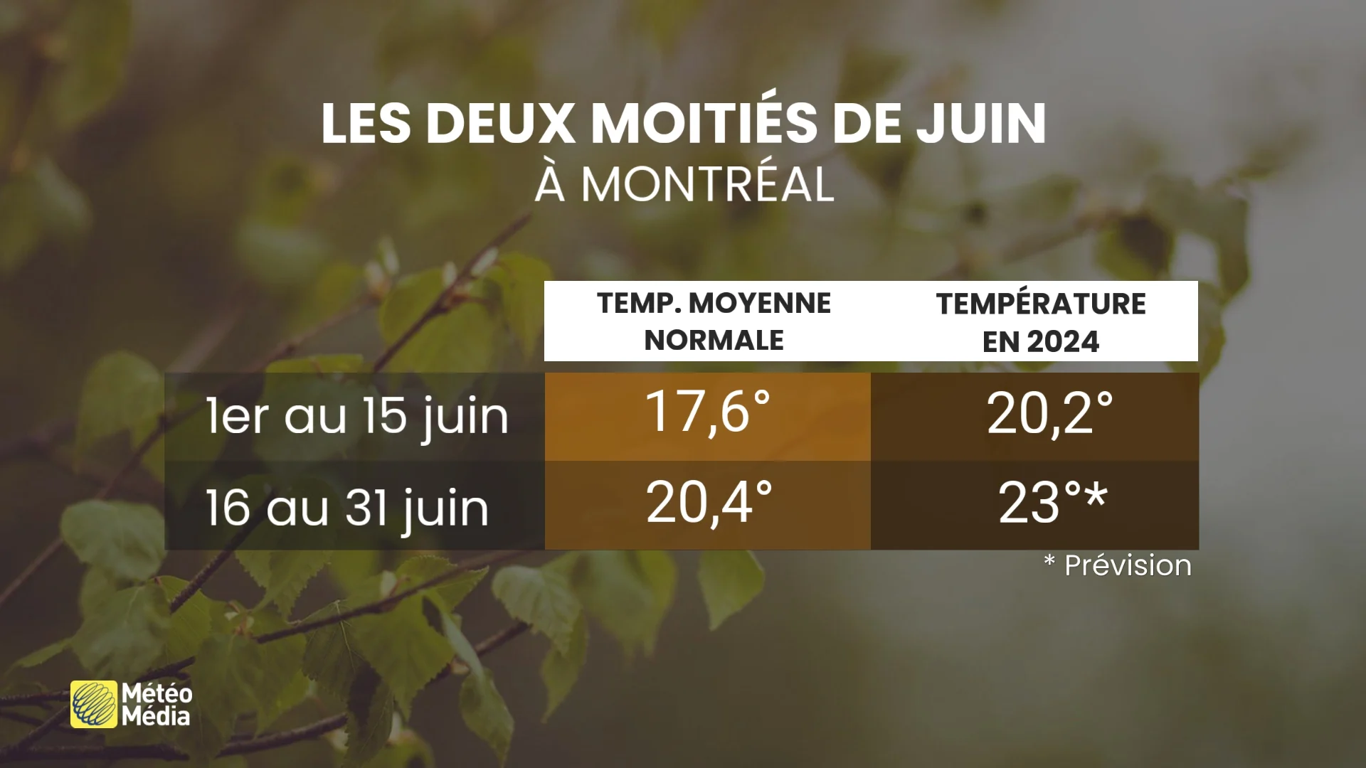 RÉJEAN-TEMP1