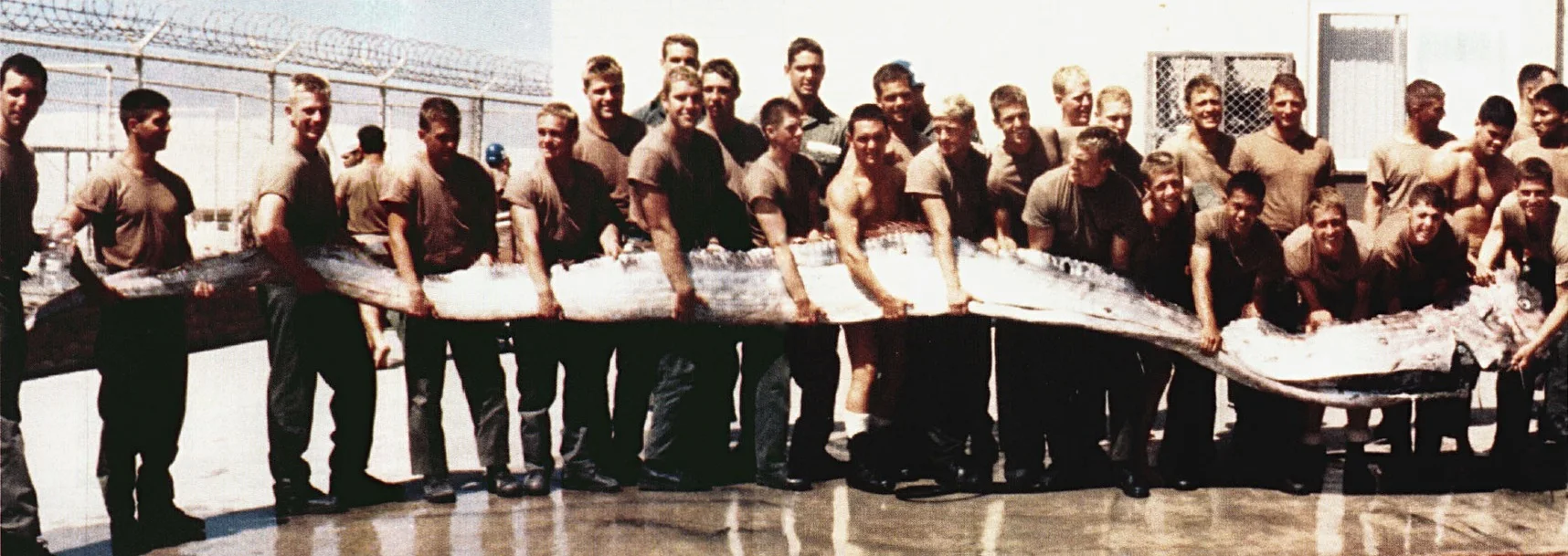 Oarfish us navy wikimedia