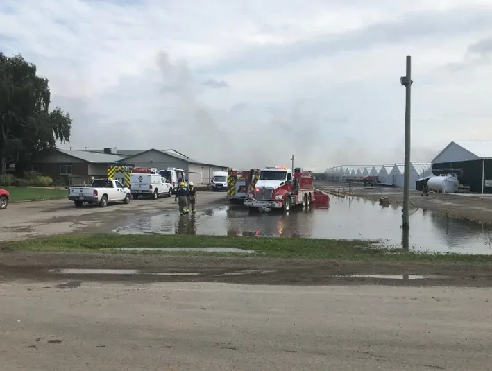 cbc flower fire