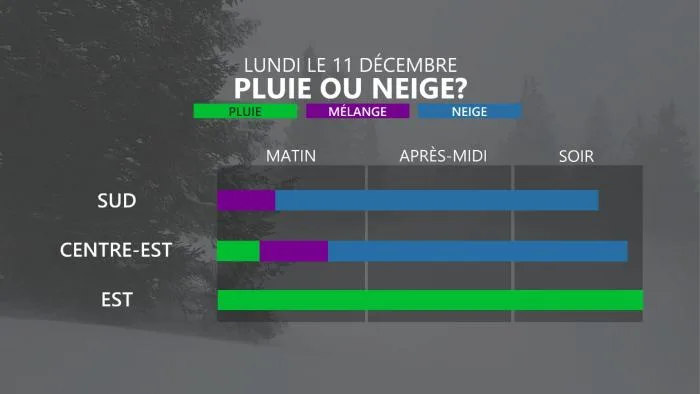 MEA1
