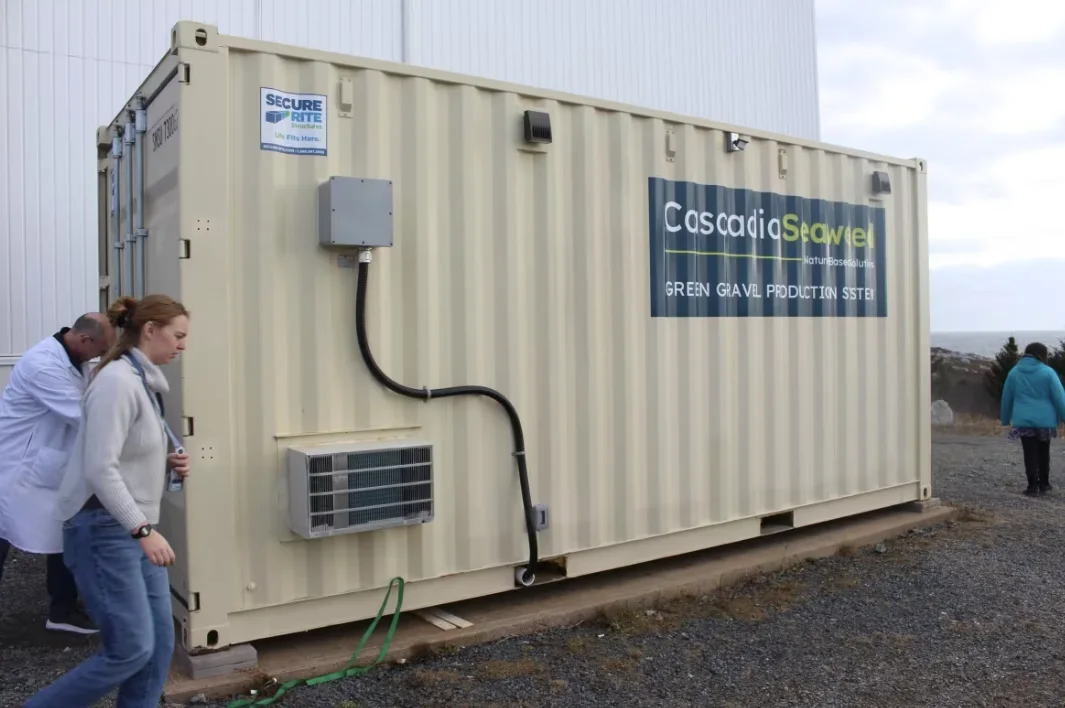 CBC: The green gravel test was also a demonstration of the mobile laboratory from Cascadia Seaweed which is designed to be moved to any oceanside location where it's needed. (Moira Donovan)