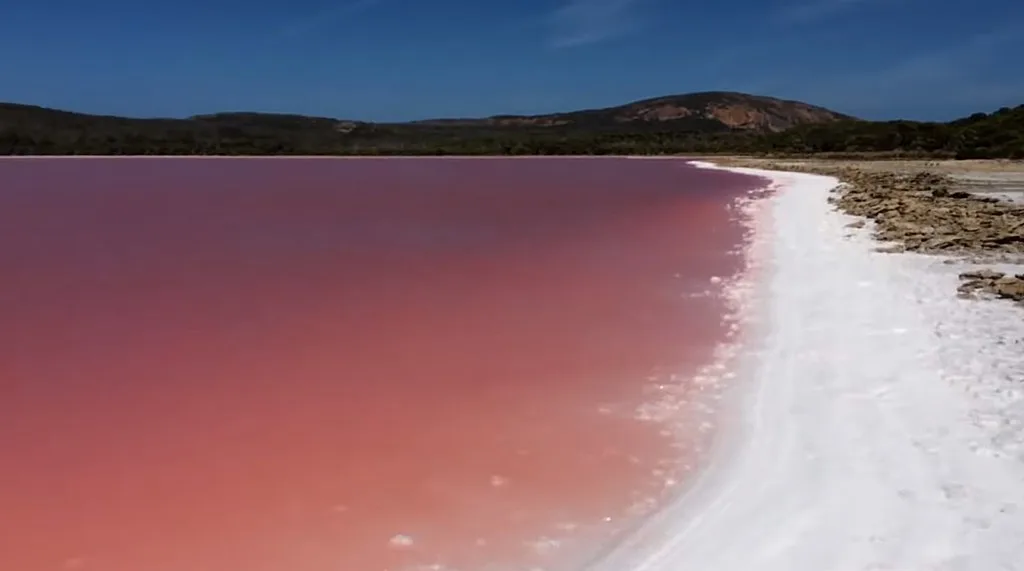 Wikimedia commons lake hillier PruneCron