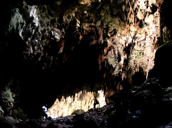 Une nouvelle espèce humaine découverte dans une grotte