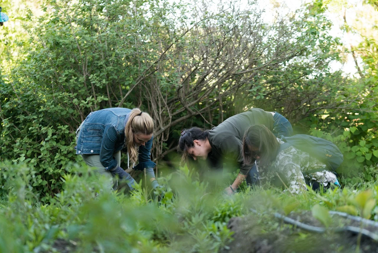 BuildingRootsGardening7/Ontario Heritage Trust/Submitted
