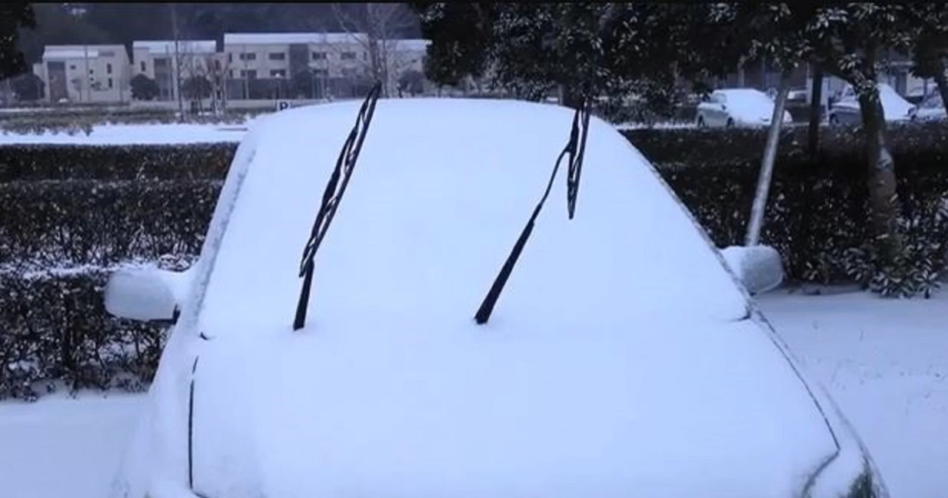 Windshield wiper blades Is it a good idea to leave them up before a