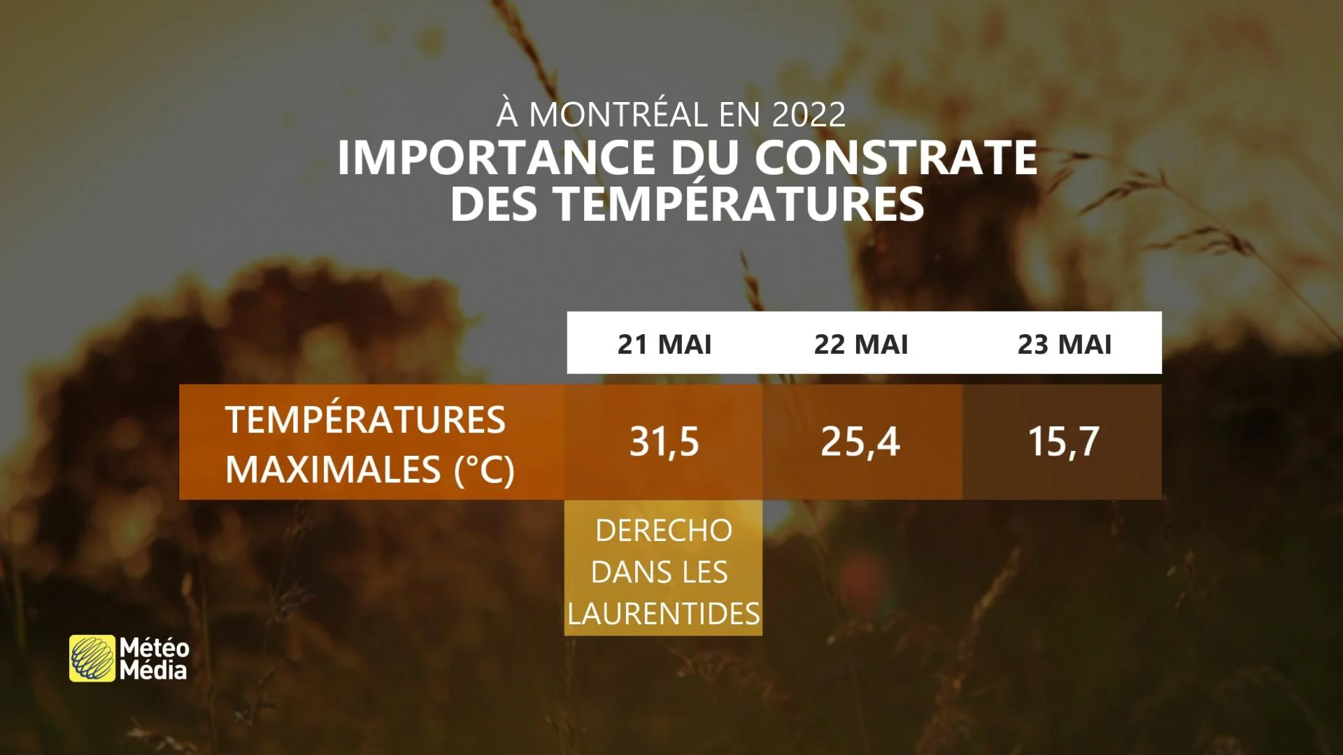 CONSTRATE TEMP DERECHO