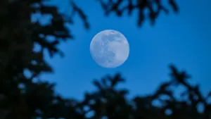 Une microlune bleue : ne manquez pas la deuxième pleine lune de mai. Détails ici.
