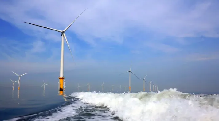 Offshore wind farms could make Nova Scotia an 'energy-exporting region'