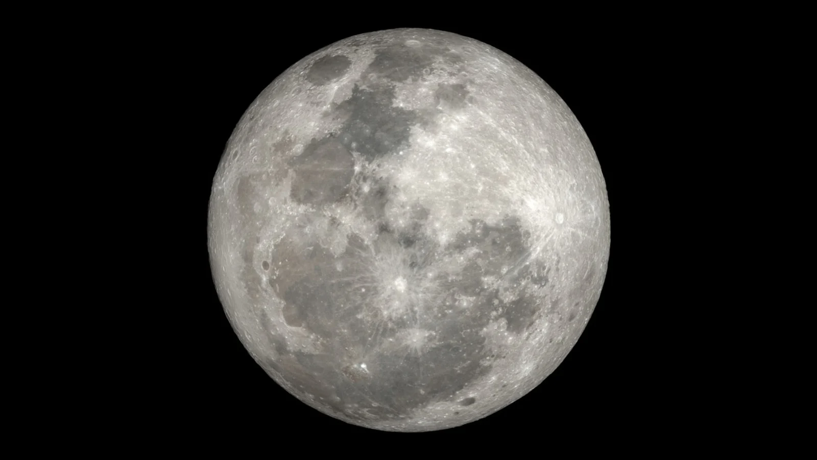 Hare-Moon-May-2024