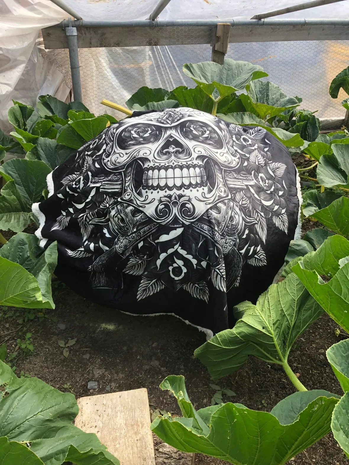 gourdie-s-blanket/Submitted by Leslee Lake via CBC