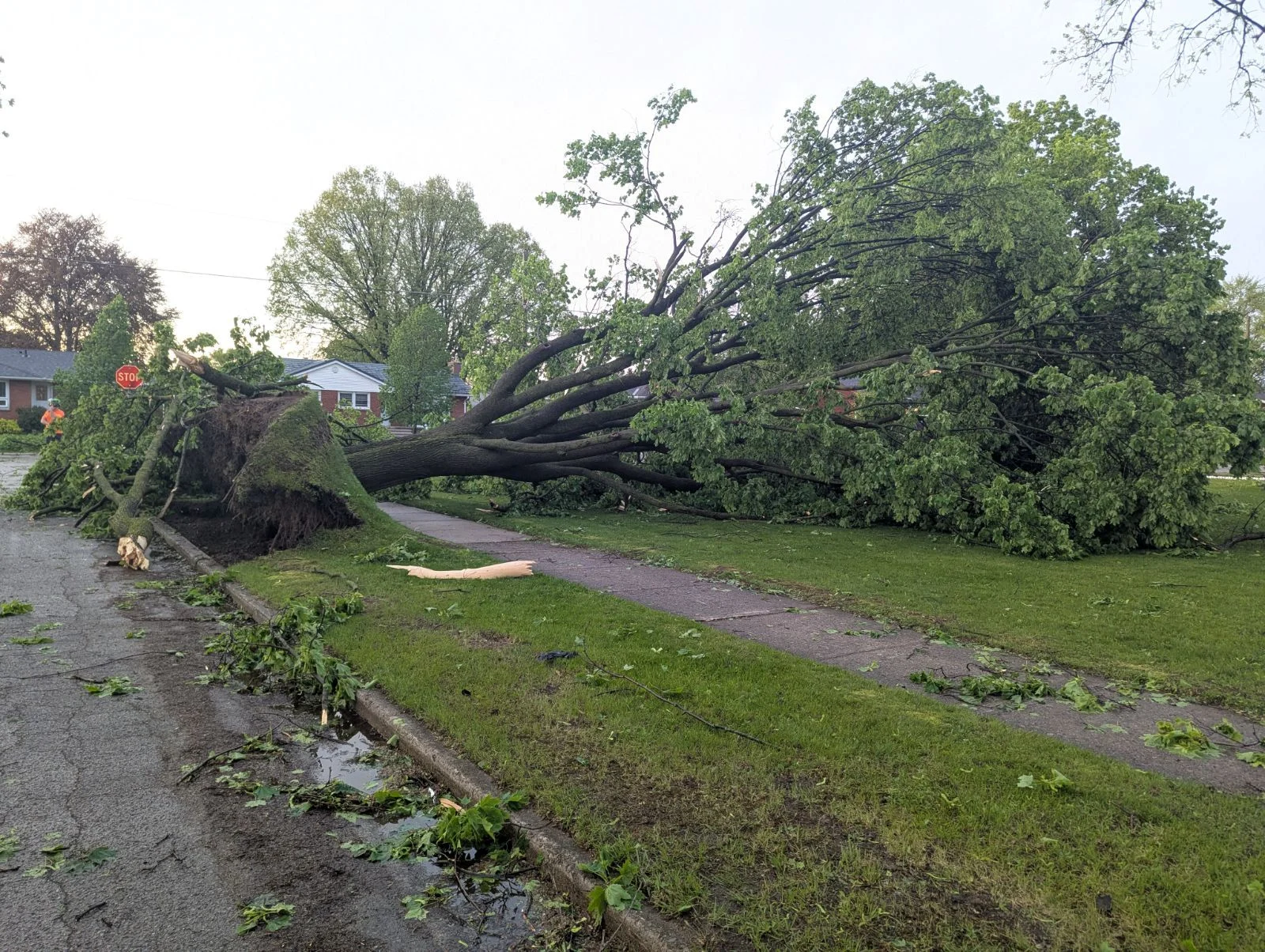 London, Ontario storm damage May 19/Paul Campbell/TWN