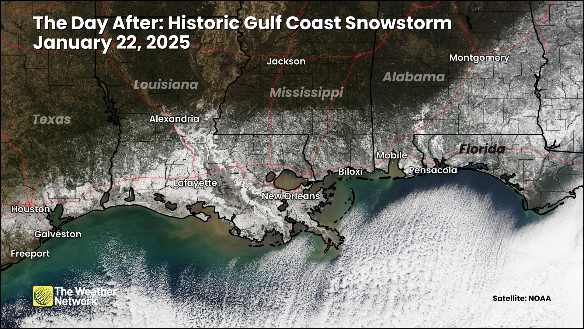 Gulf Coast Snowstorm January 2025 Satellite Image