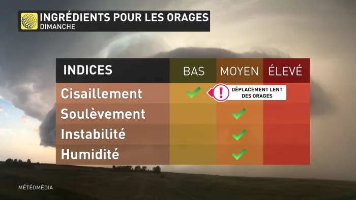 ORAGE2 (9)