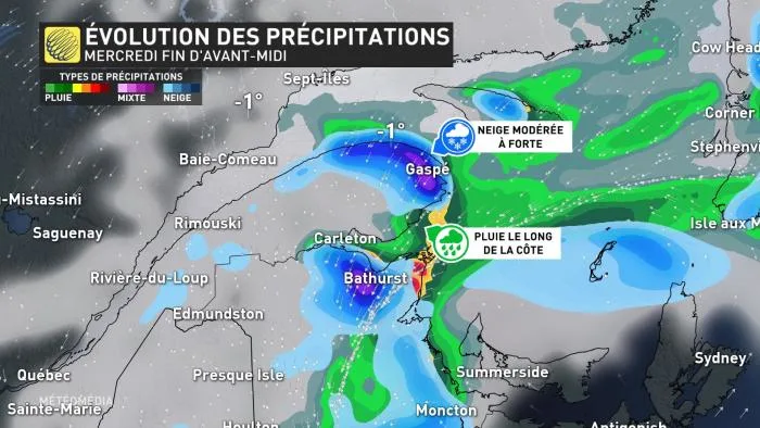 MAJ1 - ÉVOL-SYST (1)