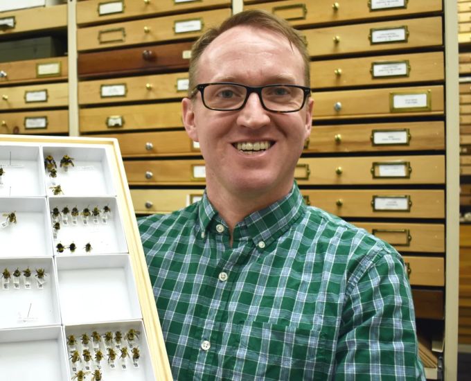 jason-gibbs-holding-a-drawer-of-bumble-bees/Submitted by Jason Gibbs via CBC