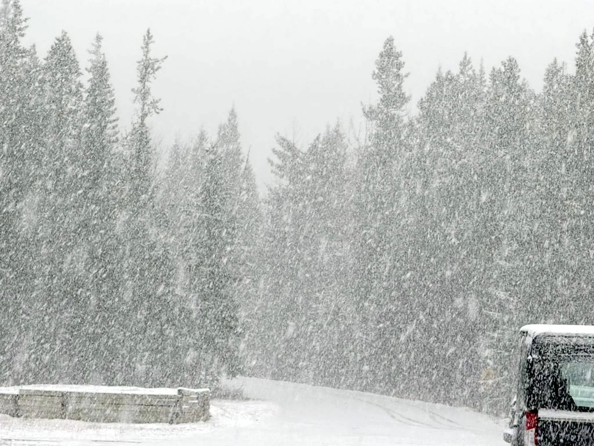 Alberta's first notable snowfall of the fall causes slippery roads and tricky travel. Photos, here