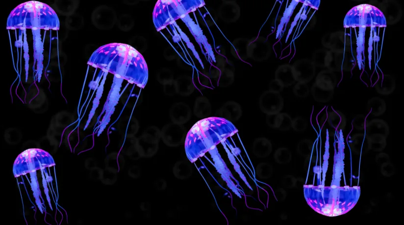 Jellyfish invasion causes shutdown of UK nuclear power plant